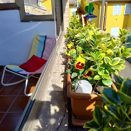 La Casa Di Mi Ma Lejlighed Parma